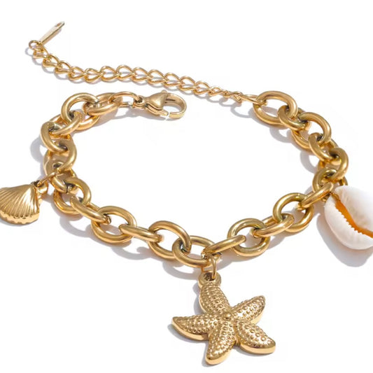 Starfish Gift