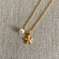 Sea star & Pearl