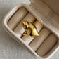 Divine Conch Shell